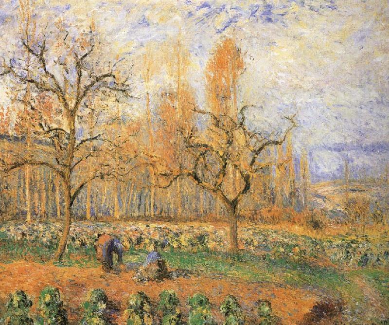 Camille Pissarro Farmland landscape Germany oil painting art